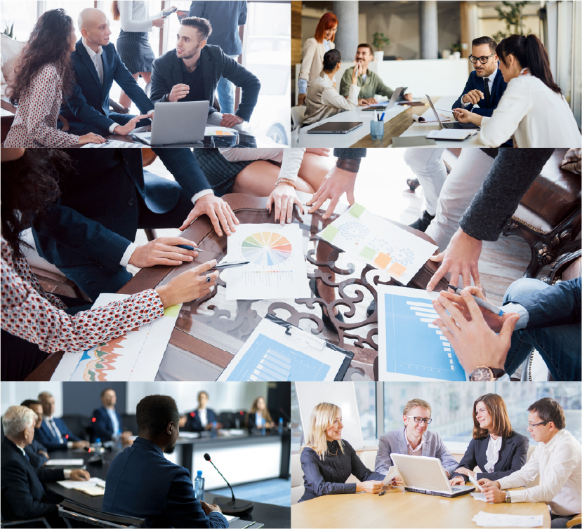 Hands holding fresh vegetables